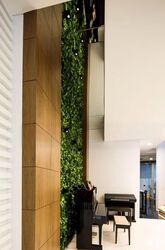 Orchard Road (D9), Terrace #449211951